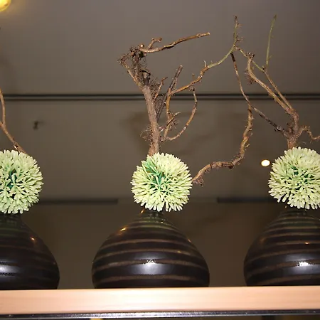 Hotel Ibis Zentrum 3*