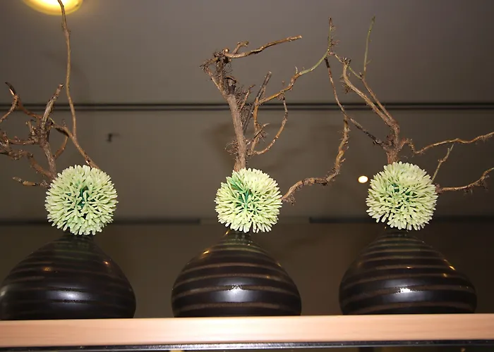 Hotel Ibis Zentrum 3*